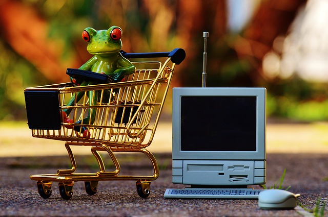 nakupování na internetu