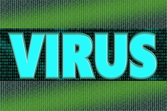 pc virus