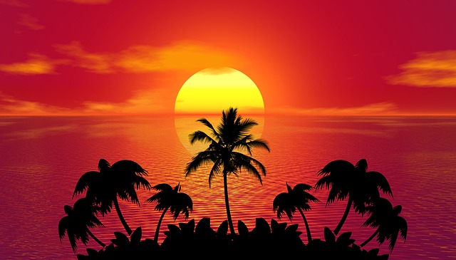 západ slunce za palmami.jpg