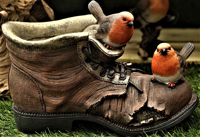 ptáčci na botě
